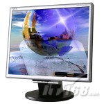 NEC MS LCD195VX