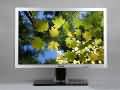 DELL 2707WFP 