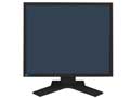 EIZO FlexScan S1901