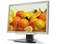 Acer AL2223Wtdr