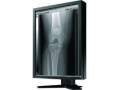 EIZO RadiForce G22