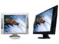 EIZO FlexScan M1950