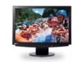 EIZO FlexScan S2111W