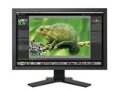 EIZO ColorEdge CG241W