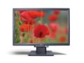 Acer AL1916Wb 
