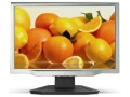 Acer AL1923Wt
