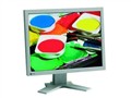 EIZO FlexScan L985EX