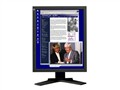 EIZO FlexScan L695