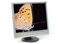 BenQ FP91V+