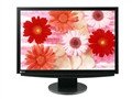 EIZO FlexScan S2410W