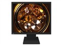 EIZO FlexScan P1700