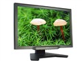 Acer AL2623W