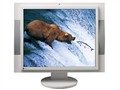 EIZO FlexScan M1950