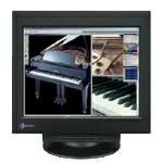 EIZO FlexScan T966-K