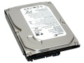 希捷 160G/酷鱼7200.10/SATAII/8M(ST3160815AS)