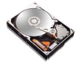 Maxtor 1TB/DiamondMax 22/SATA II/32M/散(STM31000340AS)