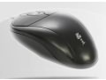 貂王 W-107
