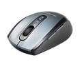�¹� ���ɱ�095(MS-150BT) 