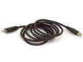 贝尔金 USB2.0 延长线标准版/1.8米(F3U134vzh06)