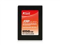 威刚 256G/串口(AS592S-256GM-C)