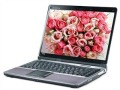 Gateway T-6304c(石榴红)