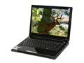 ���� ��־T621-T4200G10250RgD 