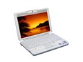 SONY PCG-TR3CN