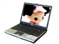 Acer Aspire 3053NWXC