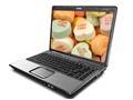 惠普 Compaq Presario V3631AU(GX892PA)