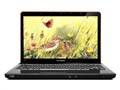 联想 IdeaPad Y450A-TSI(白/灰)
