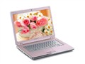 SONY VGN-CR33/P