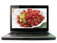 神舟 优雅A450-T6600