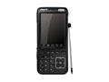 CECT V958 
