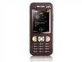 索尼爱立信 W890i