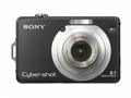 SONY W100