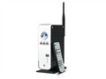 MEDIAGATE MG-350HD(160G)