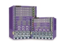 Extreme BlackDiamond 8810