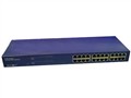 NETCORE 3824NS