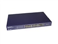NETCORE 5124NS