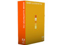 Adobe Illustrator CS4 14.0 for Windows(英文)