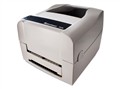 Intermec PF8d(203dpi)
