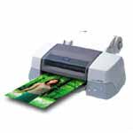 ������ STYLUS PHOTO 890 