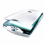鸿友 Bearpaw 2400TA