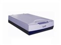 Microtek FileScan 800xl