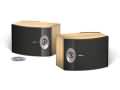 BOSE 301