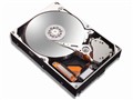 Maxtor 146GB/10K/80针(ST3146807LC)