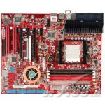 升技 Fatal1ty AN8-SLi