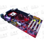 ΢�N WS-865PE800