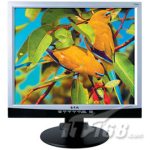 Great Wall盖天雷T191A液晶显示器图片