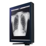 EIZORadiForce G33液晶显示器图片